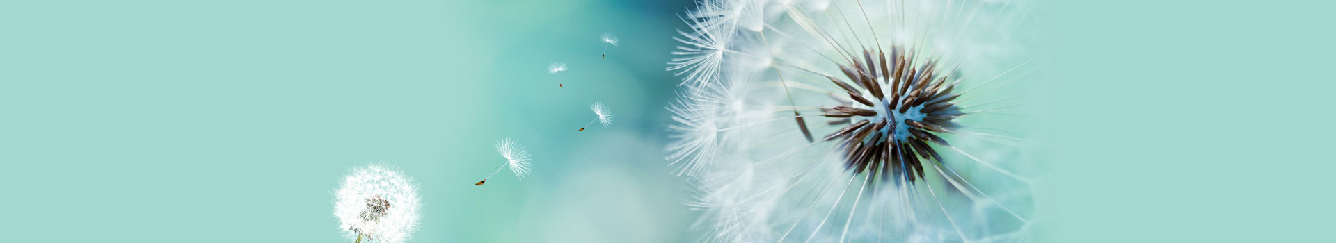 廣州過期食品銷毀,報廢食品處理,銷毀不合格食品,過期化妝品銷毀,面膜銷毀,護(hù)膚品銷毀